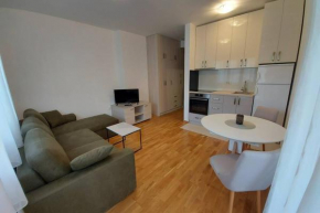 Sweet Green Studio Apartment